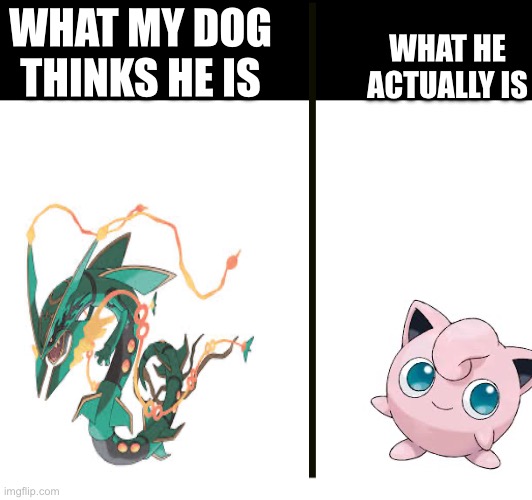 He think he big scary dog | WHAT MY DOG THINKS HE IS; WHAT HE ACTUALLY IS | image tagged in dog,pokemon | made w/ Imgflip meme maker