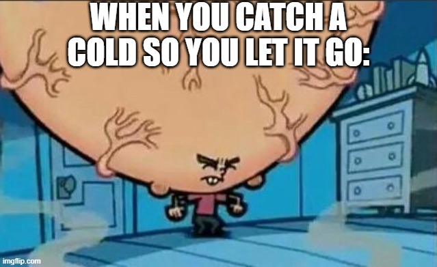 ... | WHEN YOU CATCH A COLD SO YOU LET IT GO: | image tagged in big brain timmy,big brain,smart,relatable,relatable memes,fun | made w/ Imgflip meme maker