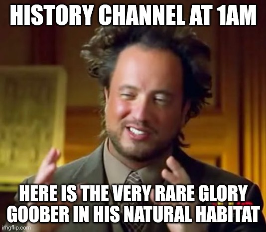 It's weird | HISTORY CHANNEL AT 1AM; HERE IS THE VERY RARE GLORY GOOBER IN HIS NATURAL HABITAT | image tagged in memes,ancient aliens | made w/ Imgflip meme maker