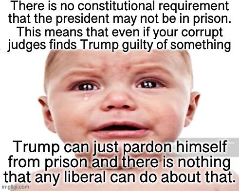 Trump has a comfortable lead in the polls. His popularity is not diminishing.  Barring voter fraud he'll be our next president. | There is no constitutional requirement that the president may not be in prison. This means that even if your corrupt judges finds Trump guilty of something; Trump can just pardon himself from prison and there is nothing that any liberal can do about that. | image tagged in trump politial prisoner,trump is not a racketeer,only a corrupt judge can find him guilty | made w/ Imgflip meme maker