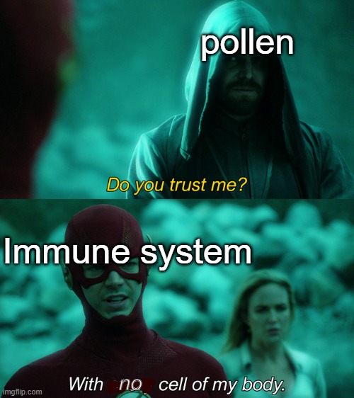 Do you trust me? | pollen; Immune system; no | made w/ Imgflip meme maker