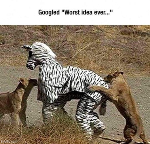 one of the funniest memes I’ve ever seen | image tagged in funny,google,worst idea ever,hilarious | made w/ Imgflip meme maker