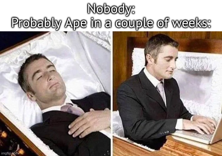 Deceased man in Coffin Typing | Nobody:
Probably Ape in a couple of weeks: | image tagged in deceased man in coffin typing | made w/ Imgflip meme maker