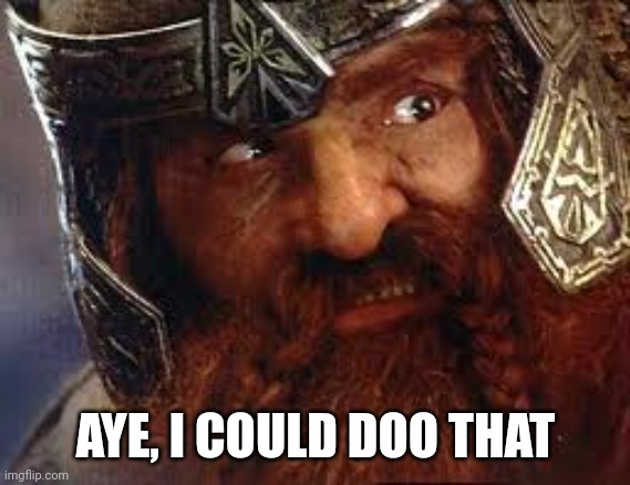 You have my Gimli | AYE, I COULD DOO THAT | image tagged in you have my gimli | made w/ Imgflip meme maker