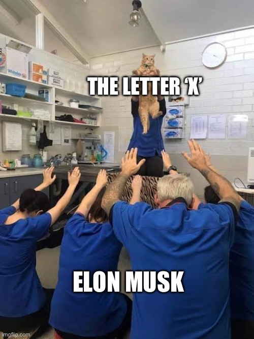 SpaceX, Tesla Model X, X (Twitter), X AE-12… | THE LETTER ‘X’; ELON MUSK | image tagged in people worshipping the cat,elon musk | made w/ Imgflip meme maker