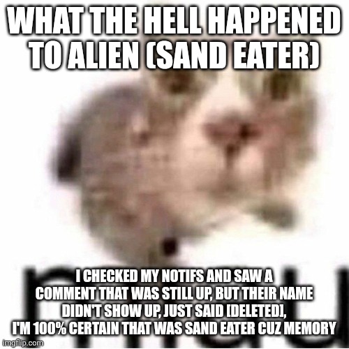 miau | WHAT THE HELL HAPPENED TO ALIEN (SAND EATER); I CHECKED MY NOTIFS AND SAW A COMMENT THAT WAS STILL UP, BUT THEIR NAME DIDN'T SHOW UP, JUST SAID [DELETED], I'M 100% CERTAIN THAT WAS SAND EATER CUZ MEMORY | made w/ Imgflip meme maker