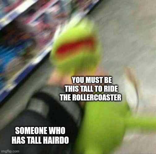 A tall hairdo should qualify as being tall enough to ride the rollercoaster | YOU MUST BE THIS TALL TO RIDE THE ROLLERCOASTER; SOMEONE WHO HAS TALL HAIRDO | image tagged in strangling kermit,carnival | made w/ Imgflip meme maker