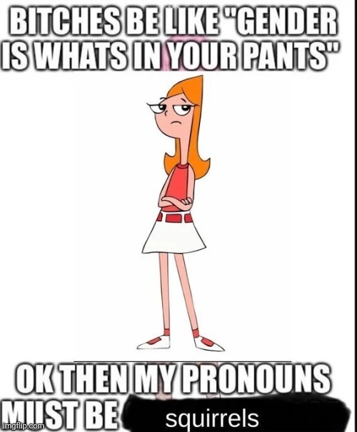 S.I.M.P | image tagged in transgender,phineas and ferb | made w/ Imgflip meme maker