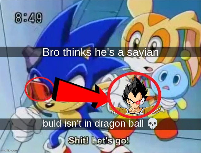 Did this | Bro thinks he's a sayian; buld isn't in dragon ball 💀 | image tagged in shitpost,dragon ball z,oh wow are you actually reading these tags,sonic | made w/ Imgflip meme maker