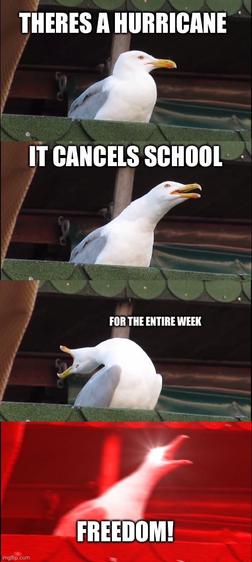 Happened to me | THERES A HURRICANE; IT CANCELS SCHOOL; FOR THE ENTIRE WEEK; FREEDOM! | image tagged in memes,inhaling seagull | made w/ Imgflip meme maker