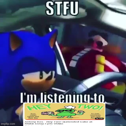 sonic stfu im listening to ___ | image tagged in sonic stfu im listening to ___ | made w/ Imgflip meme maker