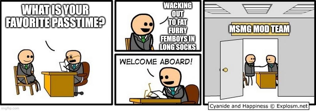 Job Interview | WACKING OUT TO FAT FURRY FEMBOYS IN LONG SOCKS; WHAT IS YOUR FAVORITE PASSTIME? MSMG MOD TEAM | image tagged in job interview | made w/ Imgflip meme maker