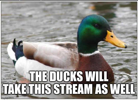 Actual Advice Mallard Meme | THE DUCKS WILL TAKE THIS STREAM AS WELL | image tagged in memes,actual advice mallard | made w/ Imgflip meme maker