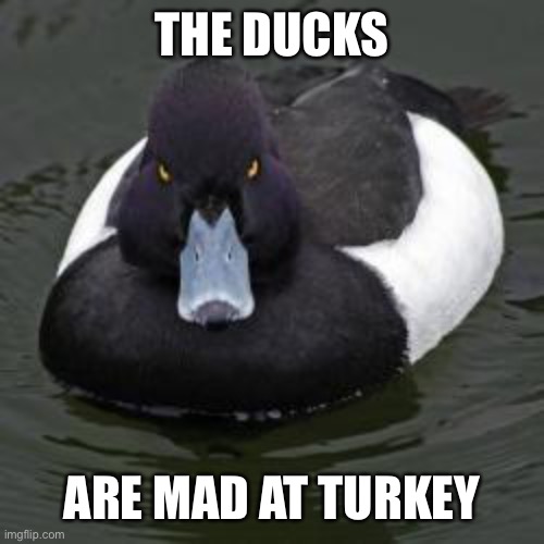 Angry Advice Mallard | THE DUCKS; ARE MAD AT TURKEY | image tagged in angry advice mallard | made w/ Imgflip meme maker