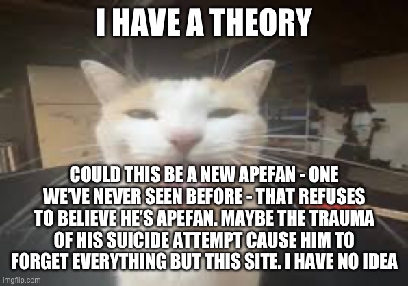 Cat | I HAVE A THEORY; COULD THIS BE A NEW APEFAN - ONE WE’VE NEVER SEEN BEFORE - THAT REFUSES TO BELIEVE HE’S APEFAN. MAYBE THE TRAUMA OF HIS SUICIDE ATTEMPT CAUSE HIM TO FORGET EVERYTHING BUT THIS SITE. I HAVE NO IDEA | image tagged in cat | made w/ Imgflip meme maker
