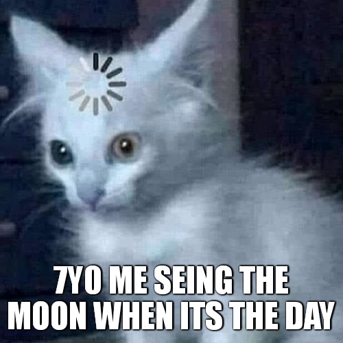 Loading Cat | 7Y0 ME SEING THE MOON WHEN ITS THE DAY | image tagged in loading cat | made w/ Imgflip meme maker