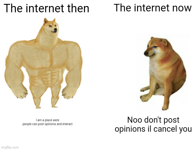 Buff Doge vs. Cheems | The internet then; The internet now; I am a place were people can post opinions and interact; Noo don't post opinions il cancel you | image tagged in memes,buff doge vs cheems | made w/ Imgflip meme maker