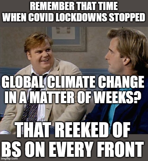 Hey I know! If COVID stops Globull Warming, let's have COVID every day!!!!!!!!!!!!!!! | REMEMBER THAT TIME WHEN COVID LOCKDOWNS STOPPED; GLOBAL CLIMATE CHANGE IN A MATTER OF WEEKS? THAT REEKED OF BS ON EVERY FRONT | image tagged in remember that time | made w/ Imgflip meme maker