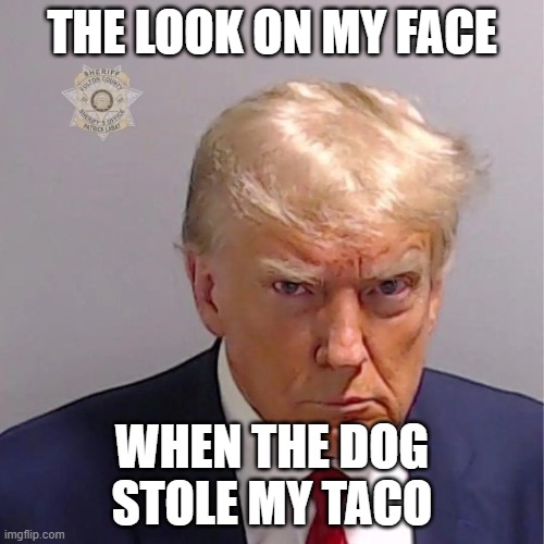 Disappointed Donald | THE LOOK ON MY FACE; WHEN THE DOG STOLE MY TACO | image tagged in disappointed man,disappointed,donald trump,donald trump memes | made w/ Imgflip meme maker