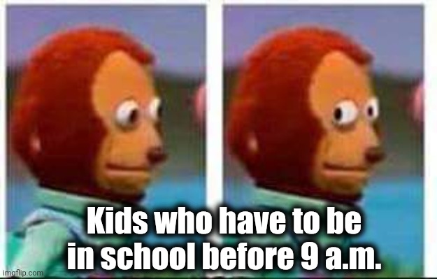 Monkey Puppet | Kids who have to be in school before 9 a.m. | image tagged in monkey puppet | made w/ Imgflip meme maker