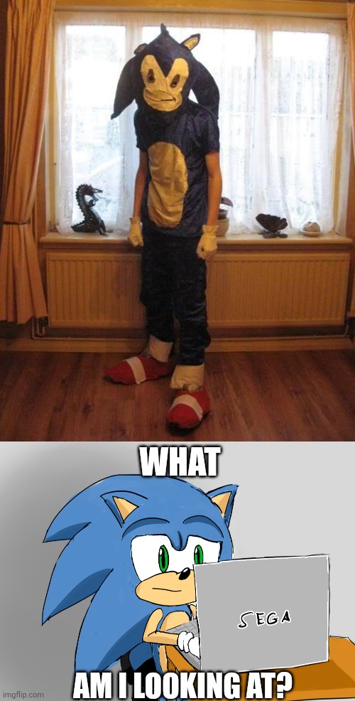 WHERE'S HIS NOSE? | WHAT; AM I LOOKING AT? | image tagged in sonic the hedgehog,cosplay,cosplay fail | made w/ Imgflip meme maker