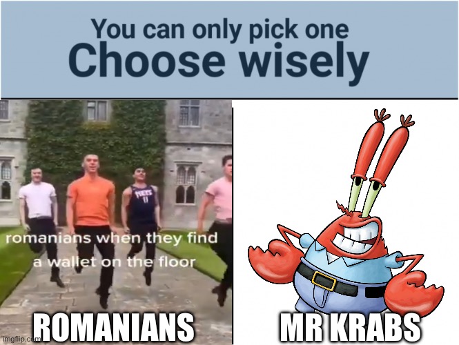 pov: you dropped your wallet, who will reach it first? | MR KRABS; ROMANIANS | image tagged in you can pick only one choose wisely | made w/ Imgflip meme maker