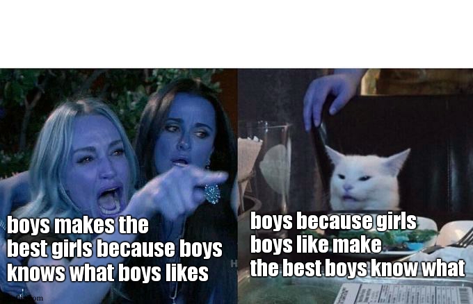 Woman Yelling At Cat Meme | boys makes the best girls because boys knows what boys likes boys because girls boys like make the best boys know what | image tagged in memes,woman yelling at cat | made w/ Imgflip meme maker