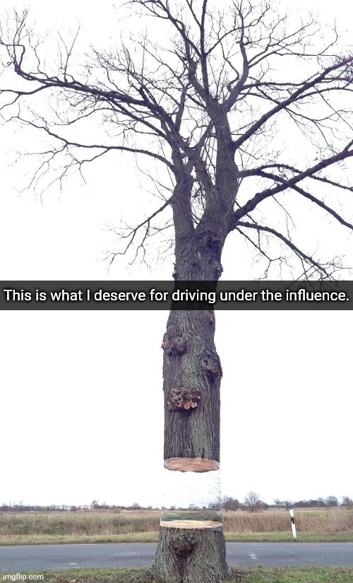 Dui | This is what I deserve for driving under the influence. | image tagged in floating tree,tree,trees,dui,driving under the influence,memes | made w/ Imgflip meme maker