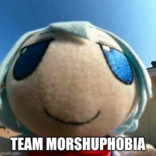 cirno | TEAM MORSHUPHOBIA | image tagged in cirno | made w/ Imgflip meme maker