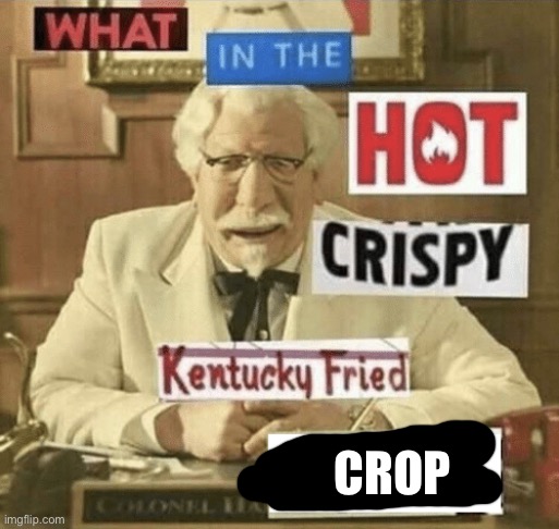 what in the hot crispy kentucky fried frick | CROP | image tagged in what in the hot crispy kentucky fried frick | made w/ Imgflip meme maker