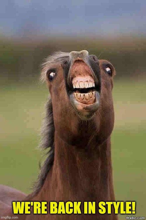 horse face | WE'RE BACK IN STYLE! | image tagged in horse face | made w/ Imgflip meme maker
