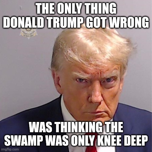 The swamp runs much deeper than than he thought and much deeper than most of us believed. This evil needs to end. | THE ONLY THING DONALD TRUMP GOT WRONG; WAS THINKING THE SWAMP WAS ONLY KNEE DEEP | image tagged in donald trump,busted,mugshot | made w/ Imgflip meme maker
