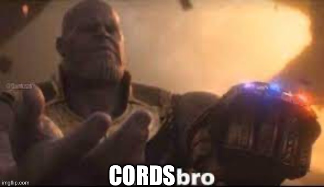 link bro | CORDS | image tagged in link bro | made w/ Imgflip meme maker