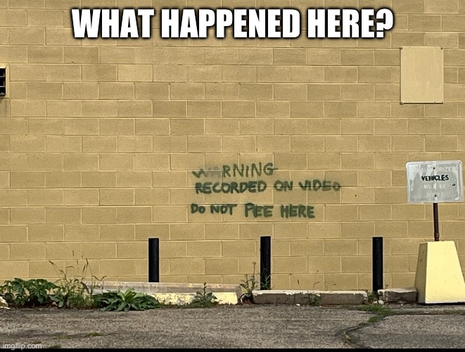 I laughed at this for a good minute | WHAT HAPPENED HERE? | image tagged in what,what the hell happened here,how,why | made w/ Imgflip meme maker
