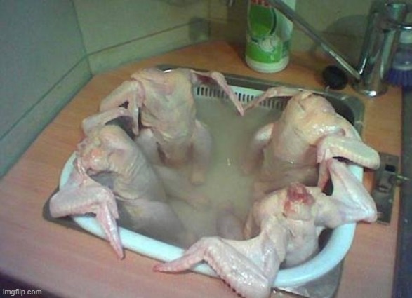 Chicken Hot Tub | image tagged in funny,memes,cursed image | made w/ Imgflip meme maker