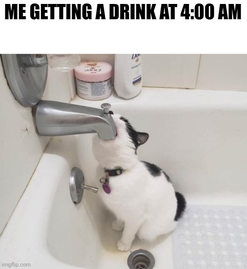 bathtub. | ME GETTING A DRINK AT 4:00 AM | image tagged in cat drinking water in bathtub | made w/ Imgflip meme maker