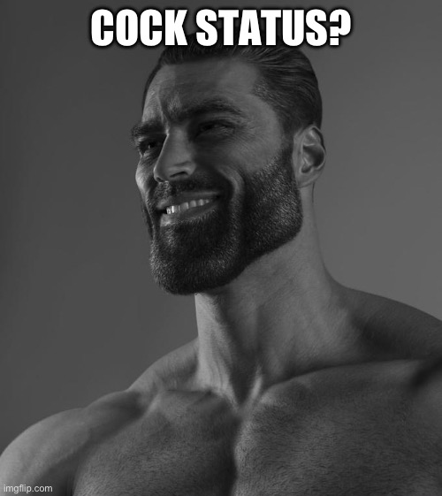 Sigma Male | COCK STATUS? | image tagged in sigma male | made w/ Imgflip meme maker