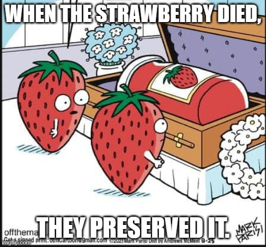 meme by Brad the dead strawberry was preserved | WHEN THE STRAWBERRY DIED, THEY PRESERVED IT. | image tagged in humor | made w/ Imgflip meme maker