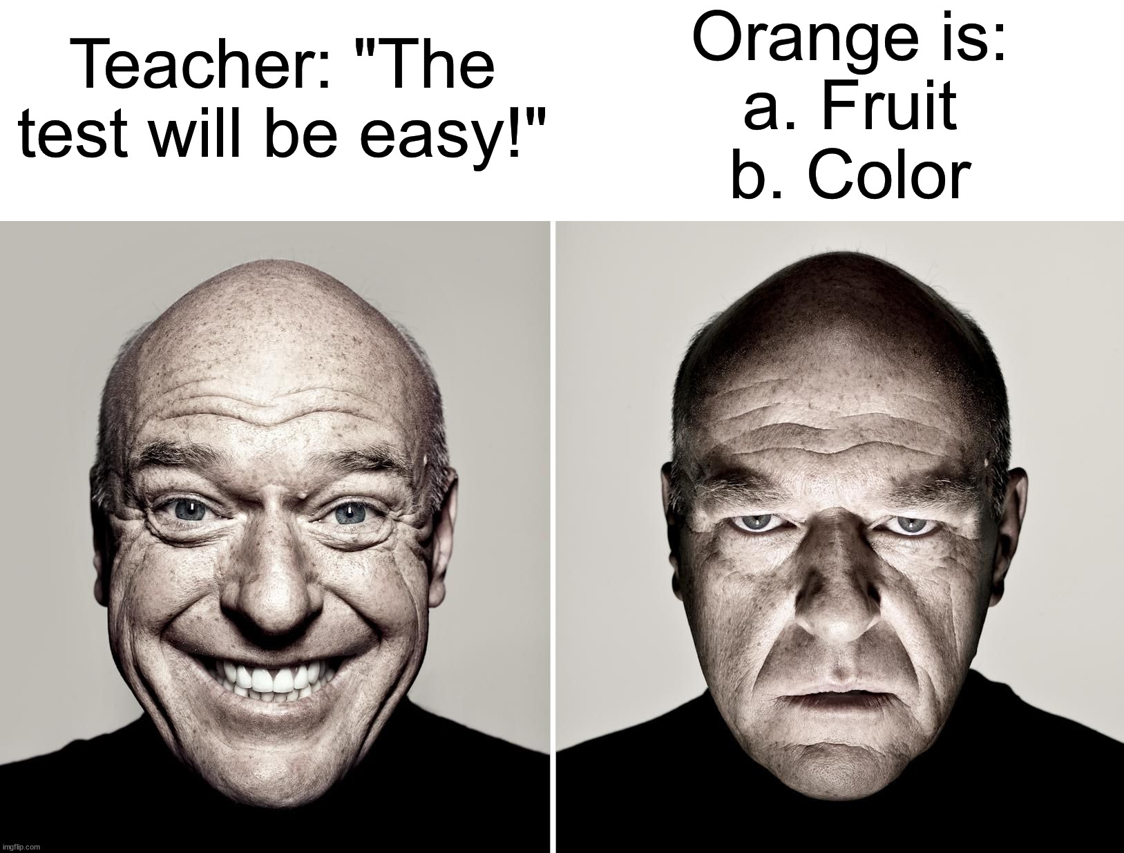 Yeah right ⊙﹏⊙∥ | Orange is:
a. Fruit
b. Color; Teacher: "The test will be easy!" | image tagged in dean norris's reaction,memes,funny,true story,relatable memes,school | made w/ Imgflip meme maker