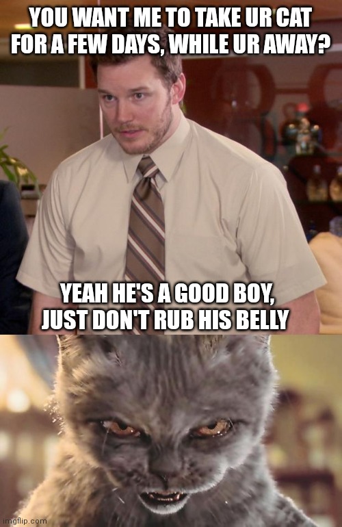 YOU WANT ME TO TAKE UR CAT FOR A FEW DAYS, WHILE UR AWAY? YEAH HE'S A GOOD BOY, JUST DON'T RUB HIS BELLY | image tagged in memes,afraid to ask andy,evil cat | made w/ Imgflip meme maker