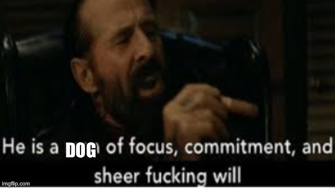 he is a man of focus | DOG | image tagged in he is a man of focus | made w/ Imgflip meme maker