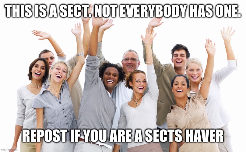 Group of People | THIS IS A SECT. NOT EVERYBODY HAS ONE. REPOST IF YOU ARE A SECTS HAVER | image tagged in group of people | made w/ Imgflip meme maker