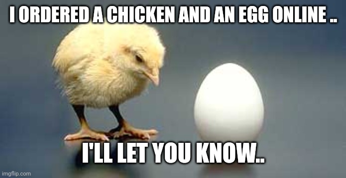 Chicken and Egg | I ORDERED A CHICKEN AND AN EGG ONLINE .. I'LL LET YOU KNOW.. | image tagged in chicken and egg | made w/ Imgflip meme maker