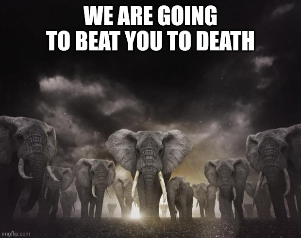 Run, or it's bye bye to your life | WE ARE GOING TO BEAT YOU TO DEATH | image tagged in 96 elephants so what | made w/ Imgflip meme maker