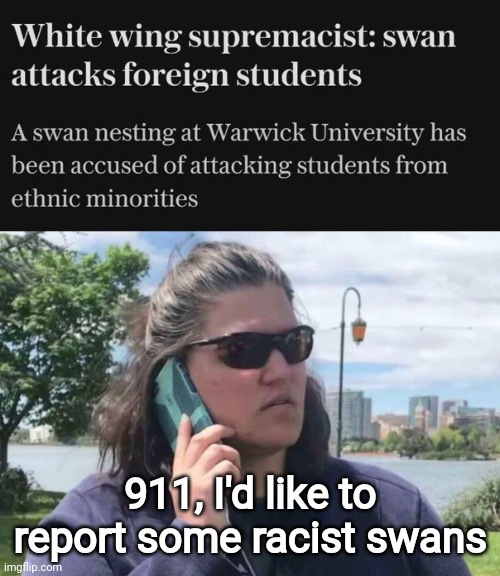 He's probably no longer with us. | 911, I'd like to report some racist swans | image tagged in auntie acting up | made w/ Imgflip meme maker