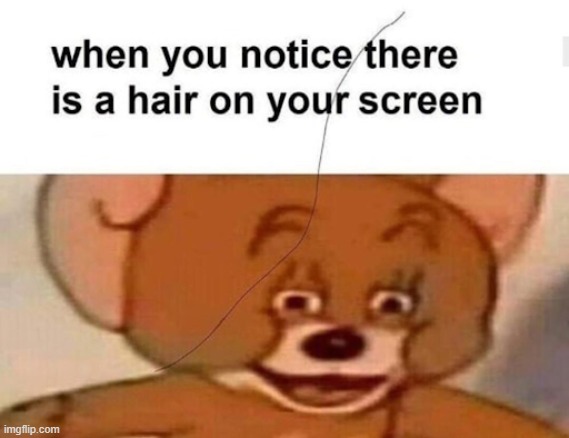 when You Notice A hair On Your Screen. | image tagged in lol so funny,lmao,funny,true,relatable,meme | made w/ Imgflip meme maker