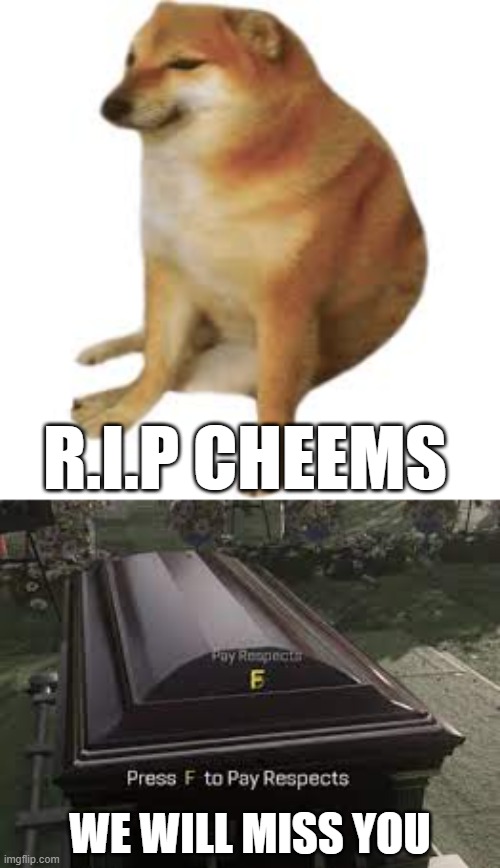 R.I.P CHEEMS; WE WILL MISS YOU | made w/ Imgflip meme maker