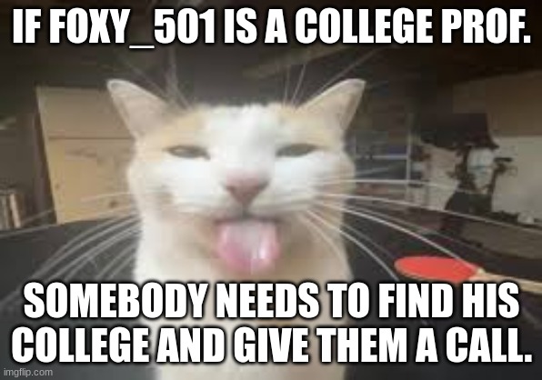 Cat | IF FOXY_501 IS A COLLEGE PROF. SOMEBODY NEEDS TO FIND HIS COLLEGE AND GIVE THEM A CALL. | image tagged in cat | made w/ Imgflip meme maker