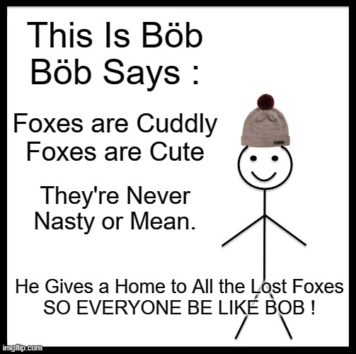 Bill/Bob's Song About Foxes. (Starr: yesss) | This Is Böb
Böb Says :; Foxes are Cuddly
Foxes are Cute; They're Never Nasty or Mean. He Gives a Home to All the Lost Foxes

SO EVERYONE BE LIKE BOB ! | image tagged in memes,be like bill,fox,song | made w/ Imgflip meme maker