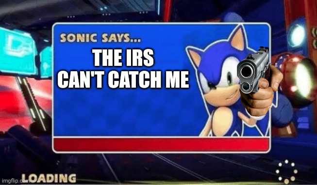 Sonic Says | THE IRS CAN'T CATCH ME | image tagged in sonic says | made w/ Imgflip meme maker